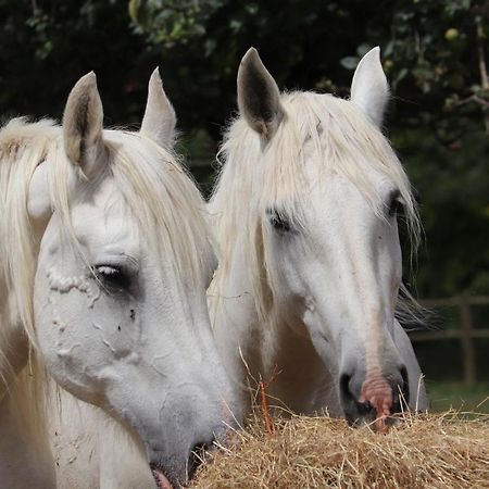 فندق Ferme Clatot Les Trois Pierres المظهر الخارجي الصورة